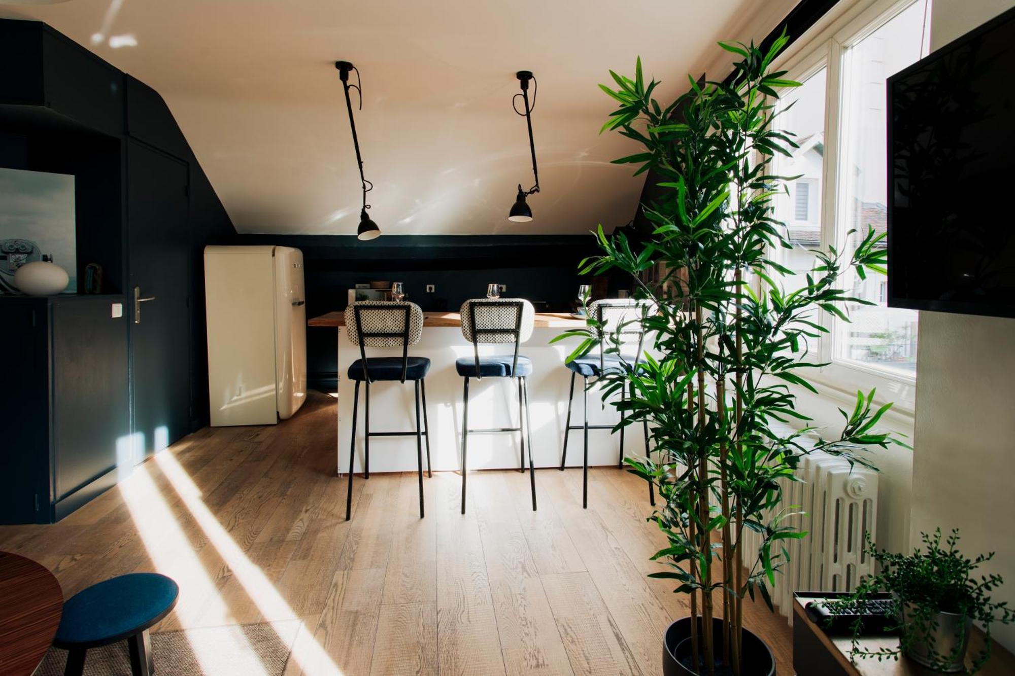 Loge Du Pre Carre - Hypercentre Apartment Annecy